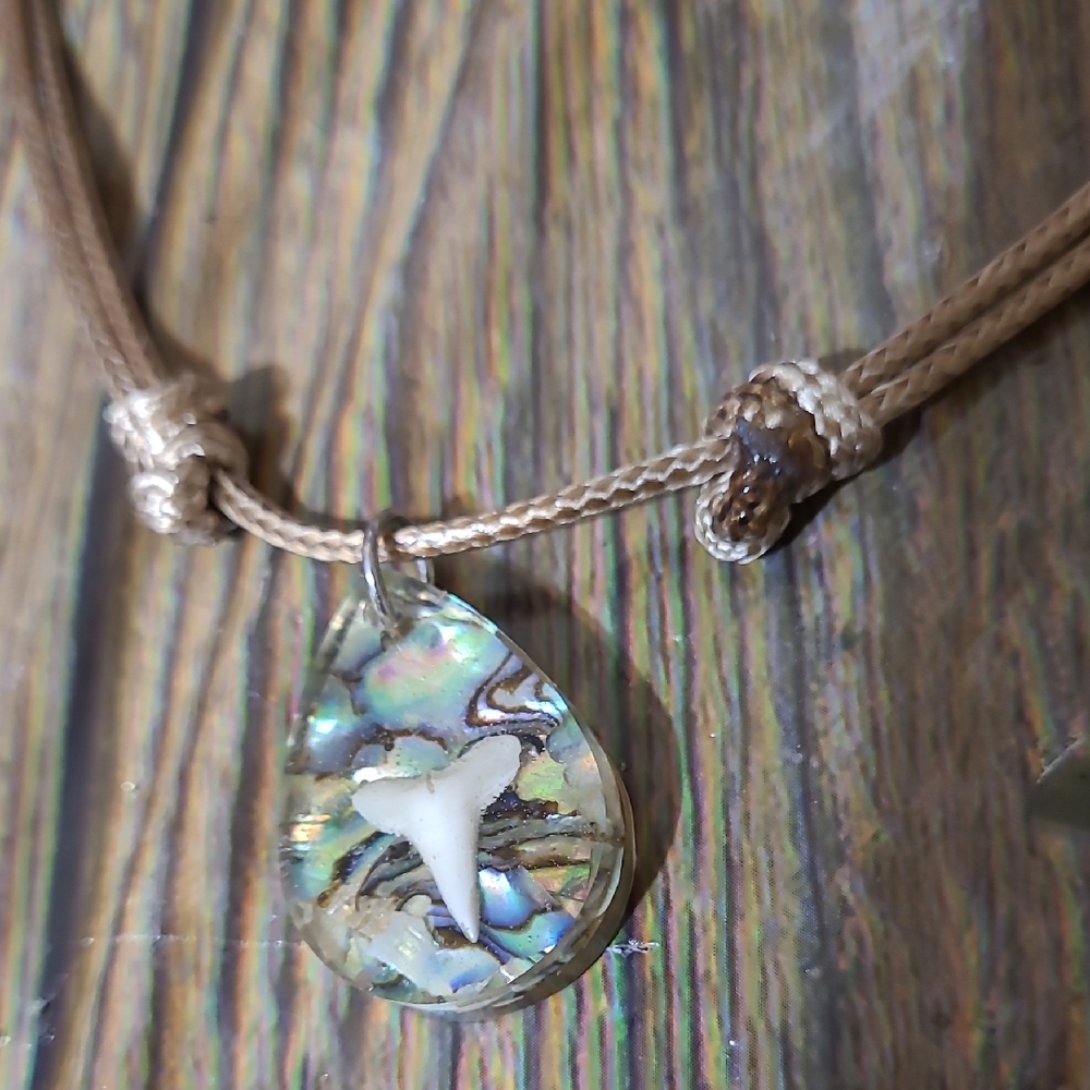 Abalone Shell Pendant Necklace With Shark Tooth